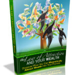 The Law Of Attraction And Your Wealth