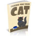 Caring For Your Cat